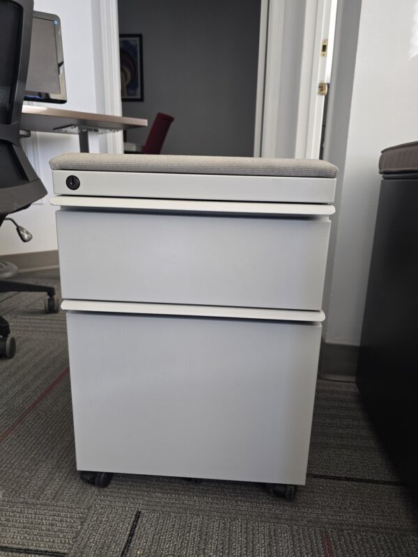 Knoll 2-Drawer Pedestal Cabinet - Lt. Grey Cabinet - Taupe Pad - $75.00 ea.